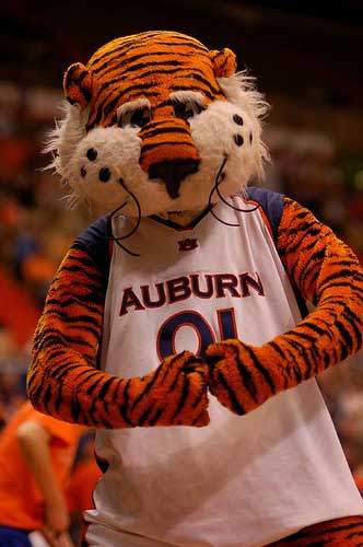  Auburn Tiger mascot 
