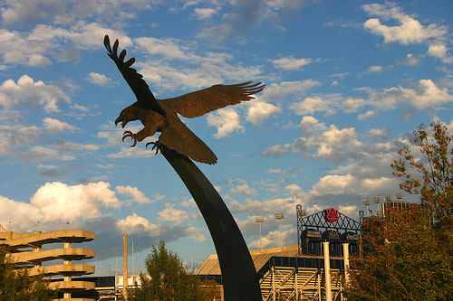 Shot of Auburn War Eagle before 2007 Iron Bowl.