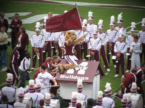 Mississippi State University Mascot Bully.