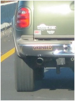 Bumper Stickers GR8NBED.