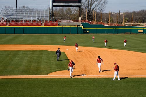 the Gamecocks look to be gamecocks baseball. the Gamecocks look to be