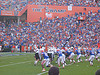 Florida Gators Swamp