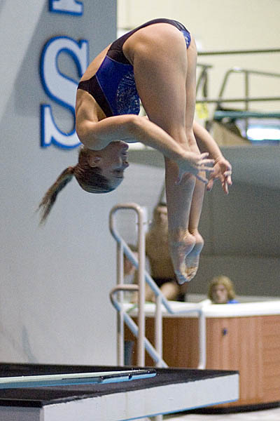 Kentucky Wildcats Swimming and Diving