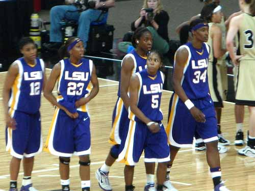 Lsu Tigers Basketball