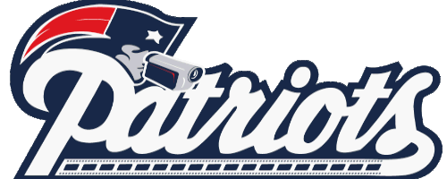 patriots_spygate_logo.gif