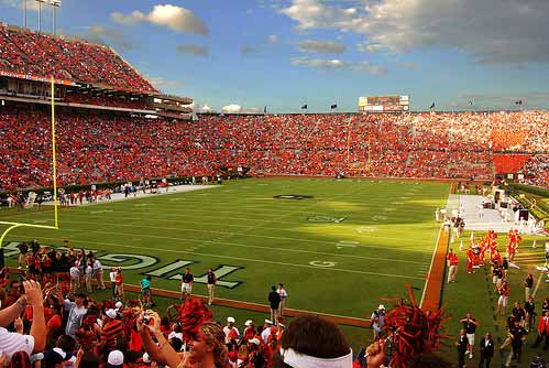 Sea of Orange