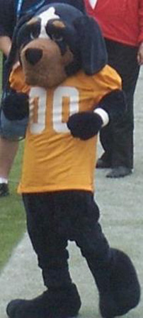 The costumed Smokey Mascot.