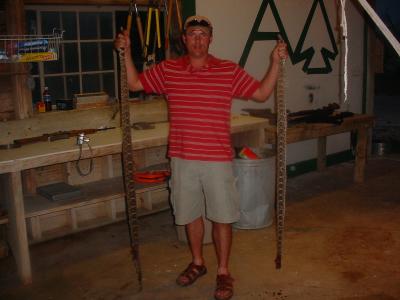 Giant Arkansas Snakeskins