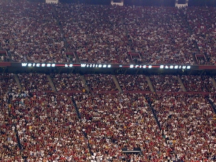 South Carolina Football Fans