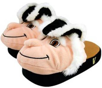 Vandy Slippers