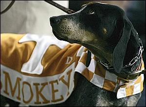 Tennessee Mascot Smokey