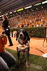 Tennessee Mascot Smokey